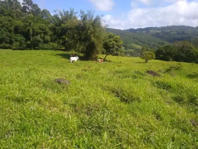 Fazenda/Sítio à venda, 90000m² no , Caraá