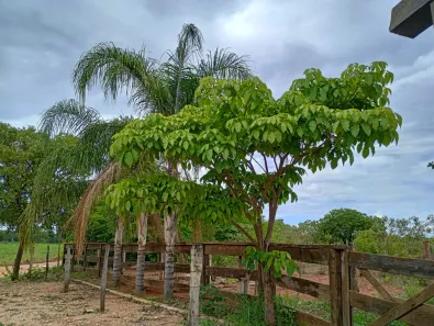 Lote/Terreno à venda, 20000m² no Cordisburgo, Cordisburgo