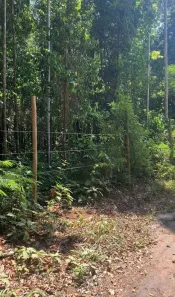 Lote/Terreno à venda, 843m² no Trancoso, Porto Seguro