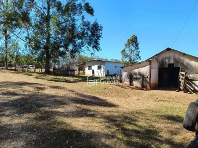 Fazenda/Sítio com 3 Quartos à venda, 415756m² no Campo Limpo, Campo Limpo de Goiás