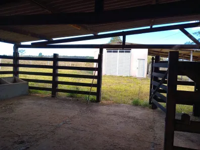 Fazenda/Sítio com 3 Quartos à venda, 210000m² no , Brasília