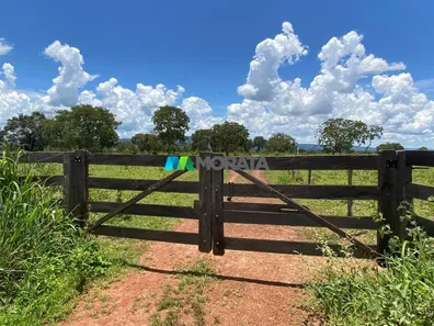 Fazenda/Sítio com 1 Quarto à venda, 190m² no , Buritis