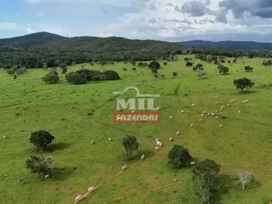 Fazenda/Sítio à venda, 500m² no , Jaraguá