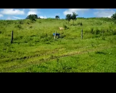 Fazenda/Sítio à venda no Centro, Padre Bernardo