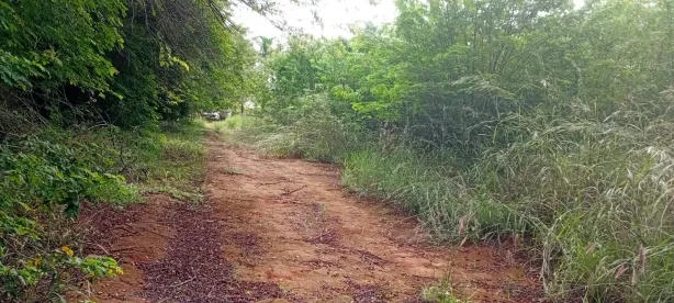 Lote/Terreno à venda, 20000m² no Park Way, Brasília