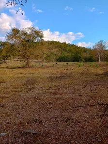 Fazenda/Sítio com 2 Quartos à venda, 80m² no , Padre Bernardo