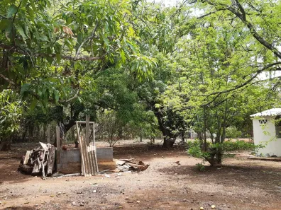 Fazenda/Sítio com 2 Quartos à venda, 10000m² no Centro, Padre Bernardo