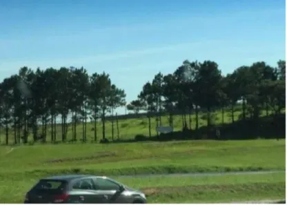 Lote/Terreno para venda ou aluguel, 10900m² no Vila Artura, Sorocaba