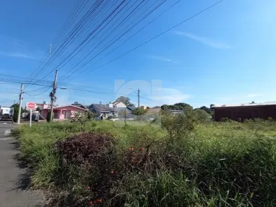 Lote/Terreno à venda, 480m² no Centro, Portão