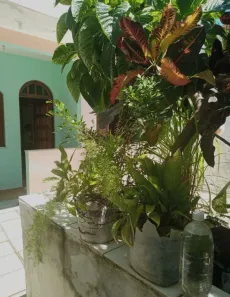 Casa com 3 Quartos à venda, 150m² no Chapada do Rio Vermelho, Salvador