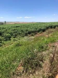 Fazenda/Sítio à venda, 6320000m² no Centro, Echaporã