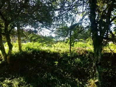 Lote/Terreno à venda, 730m² no Santo Onofre, Viamão