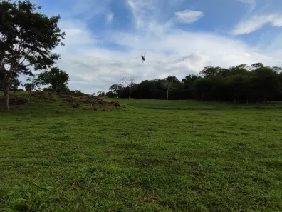 Fazenda/Sítio com 3 Quartos à venda, 2m² no , Jaraguá