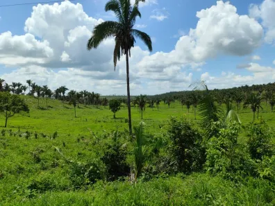 Fazenda/Sítio com 3 Quartos à venda, 1400m² no Zona Rural, Coroatá