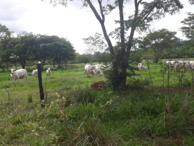 Lote/Terreno à venda, 20000m² no , Araçaí