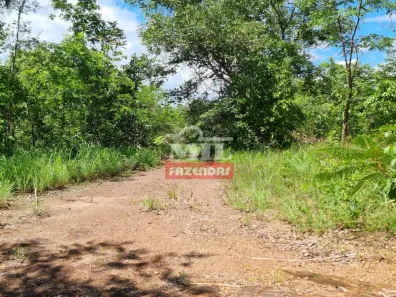Fazenda/Sítio à venda, 484000000m² no , Jaraguá