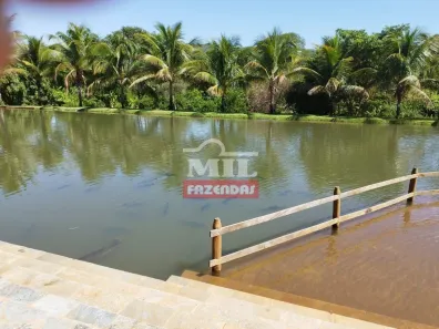 Fazenda/Sítio à venda, 70000m² no , Jaraguá