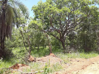 Lote/Terreno à venda, 20000m² no , Araçaí