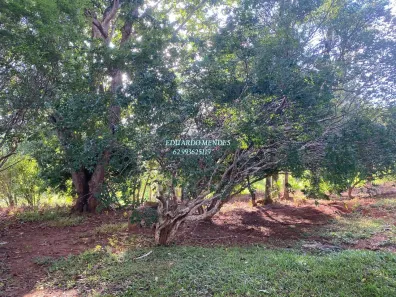 Fazenda/Sítio com 3 Quartos à venda, 96800m² no Planalmira, Abadiânia