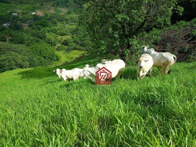 Fazenda/Sítio com 5 Quartos à venda, 340m² no Sana, Macaé