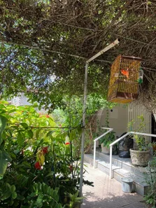 Casa com 5 Quartos à venda, 282m² no Petrópolis, Natal