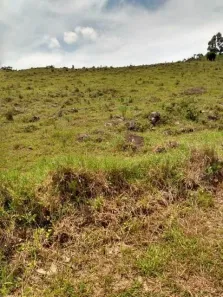 Fazenda/Sítio com 2 Quartos à venda, 35000m² no , Caraá