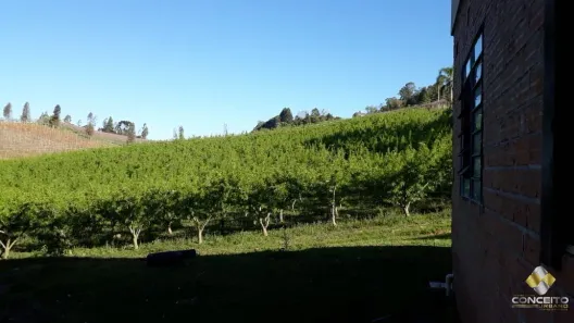 Fazenda/Sítio à venda, 135000m² no Nova Vicenza, Farroupilha