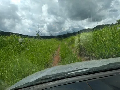 Fazenda/Sítio com 1 Quarto à venda, 484000000m² no , Babaçulândia