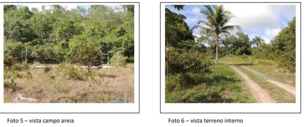Lote/Terreno à venda, 700000m² no Zona Urbana, 