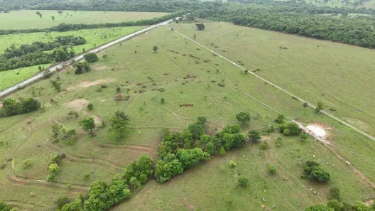 Fazenda/Sítio com 1 Quarto à venda, 100m² no , Jaraguá