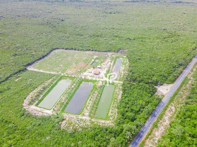 Fazenda/Sítio à venda, 200m² no Fazenda Sofia, Humberto de Campos