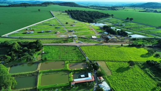 Fazenda/Sítio à venda, 408m² no , Leopoldo de Bulhões