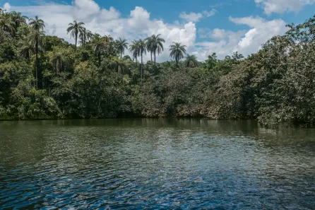 Lote/Terreno à venda, 20000m² no Lagoa Mansões, Lagoa Santa