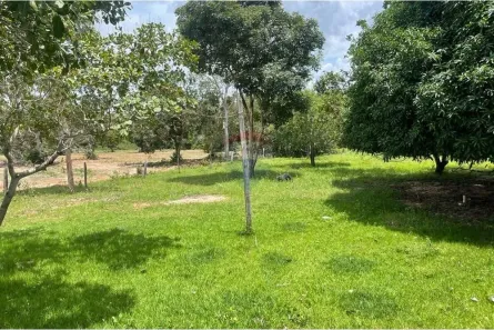 Fazenda/Sítio com 3 Quartos à venda, 2400000m² no Loteamento Araguaína Sul, Araguaína