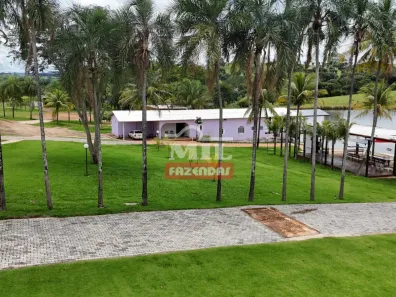 Fazenda/Sítio à venda, 500m² no , Nerópolis