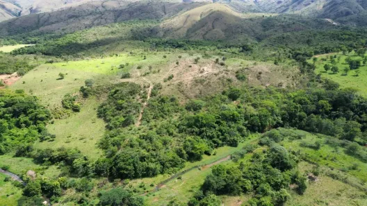 Fazenda/Sítio à venda, 573360m² no , Padre Bernardo