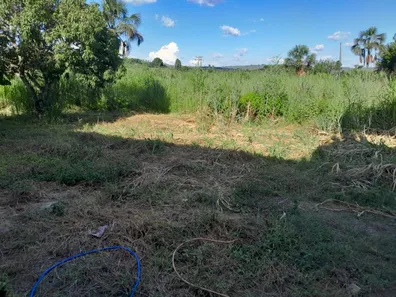 Fazenda/Sítio com 4 Quartos à venda, 10000m² no Incra 8, Brasília