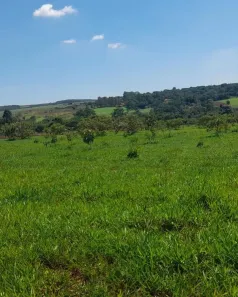 Fazenda/Sítio à venda, 100000m² no Área Rural de Anápolis, Anápolis