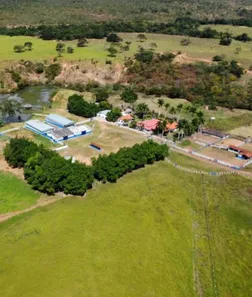 Fazenda/Sítio à venda no , Buritis