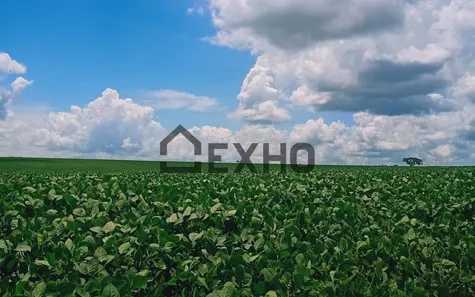 Fazenda/Sítio com 1 Quarto à venda, 225m² no , Gameleira de Goiás