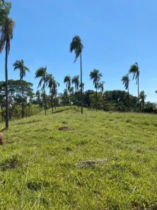 Fazenda/Sítio com 4 Quartos à venda, 2420000m² no Vila Santa Terezinha, Inhumas