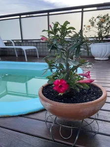 Cobertura com 3 Quartos à venda, 200m² no Centro, Nova Iguaçu