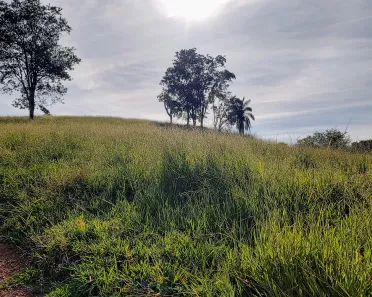Fazenda/Sítio com 3 Quartos à venda, 8m² no , Bonfinópolis