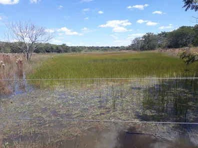 Lote/Terreno à venda, 20000m² no , Araçaí