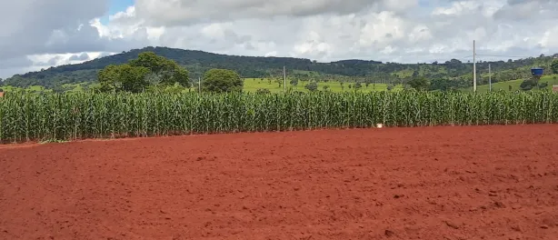Fazenda/Sítio à venda, 2000m² no Área Rural, Goianira