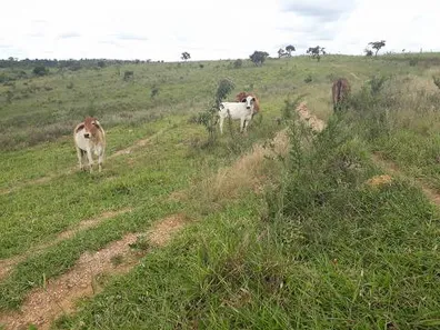 Lote/Terreno à venda, 20000m² no , Araçaí