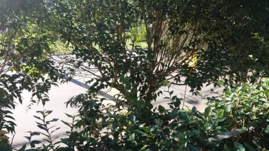 Lote/Terreno à venda, 420m² no Tarumã, Viamão