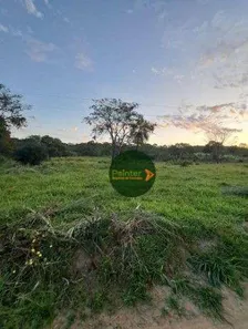 Fazenda/Sítio à venda, 1306800m² no , 