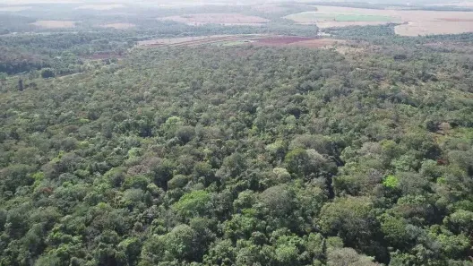 Fazenda/Sítio à venda, 43562m² no , Terezópolis de Goiás
