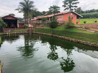 Fazenda/Sítio com 4 Quartos à venda, 31000m² no Área Rural de Arandu, Arandu